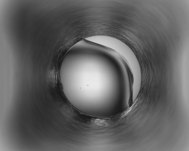 X0000096200180200802081547