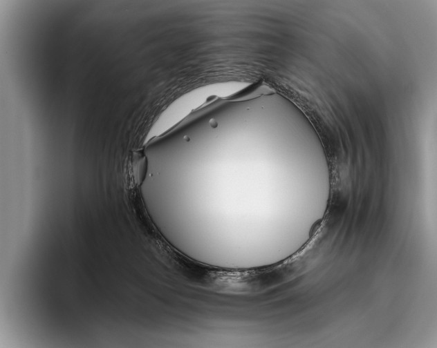 X0000096200182200802081547