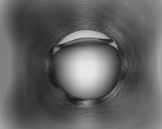 X0000096200184200802081547