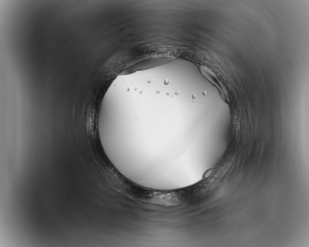 X0000096200185200802081547