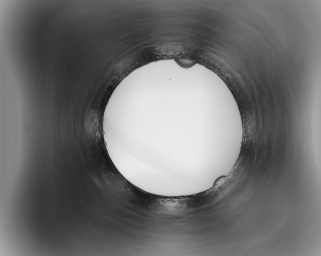 X0000096200187200802081547