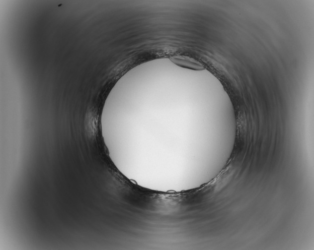 X0000096200188200802081547