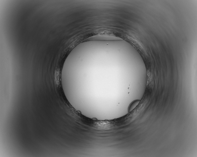 X0000096200189200802081547