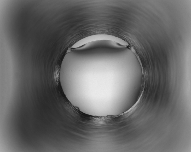 X0000096200190200802081547