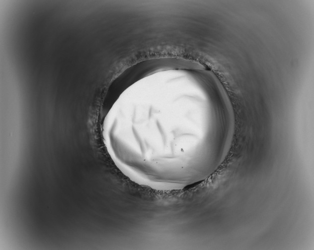 X0000096200192200802081548