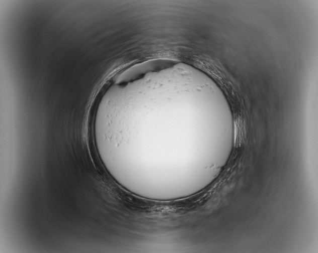 X0000096200195200802081547