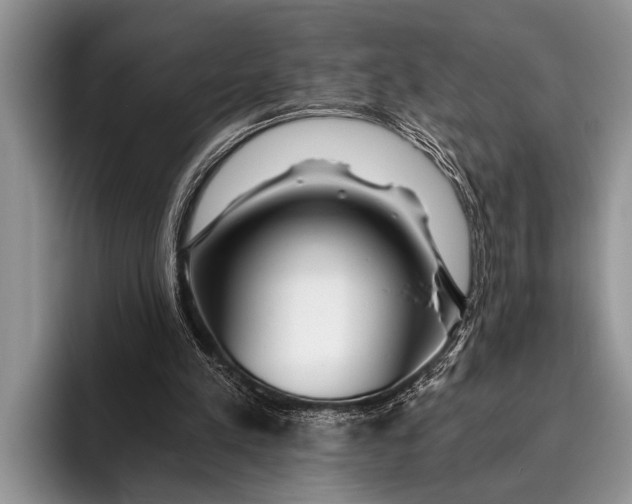 X0000096200197200802081547