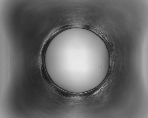 X0000096200198200802081547