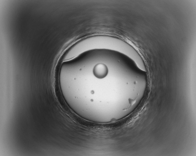 X0000096200199200802081547