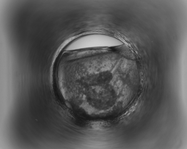 X0000096200200200802081547