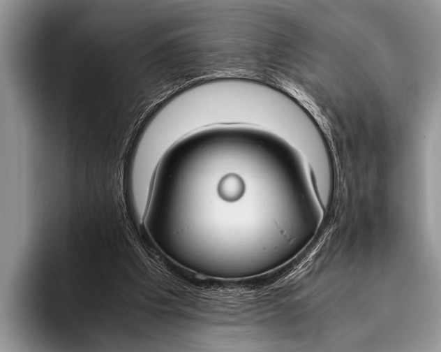 X0000096200201200802081547