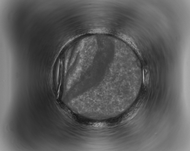 X0000096200204200802081547