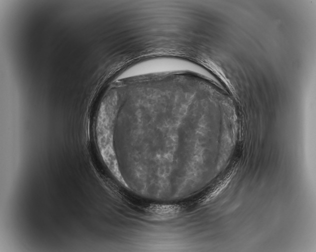 X0000096200205200802081547