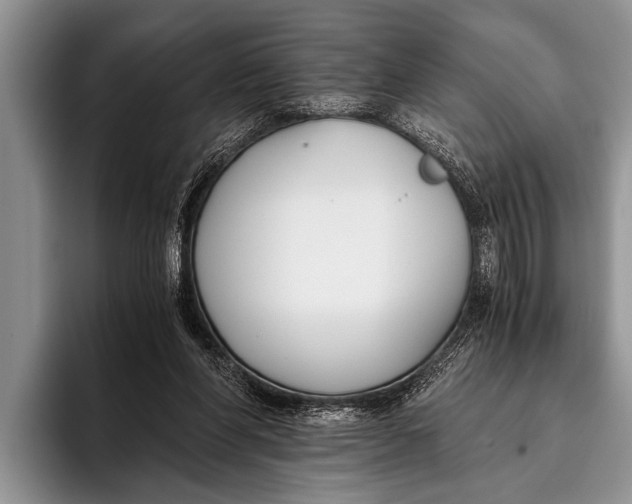 X0000096200206200802081547