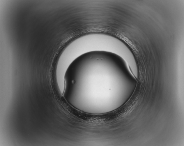 X0000096200207200802081547