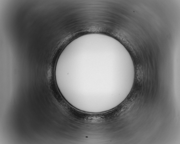 X0000096200208200802081547