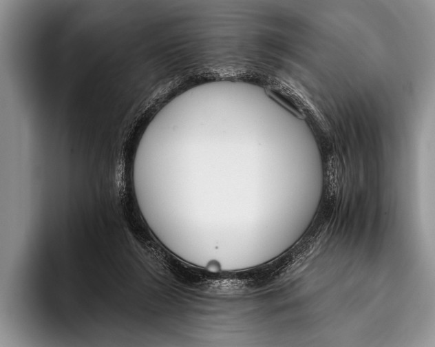 X0000096200212200802081547