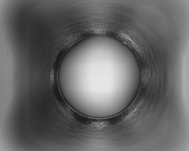 X0000096200213200802081547