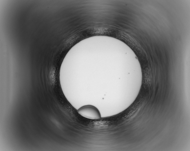 X0000096200216200802081547