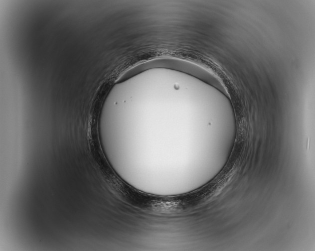 X0000096200217200802081547