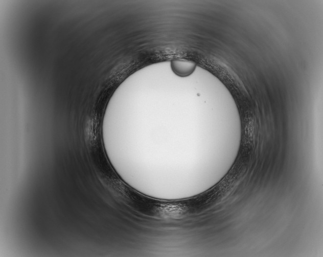 X0000096200218200802081547