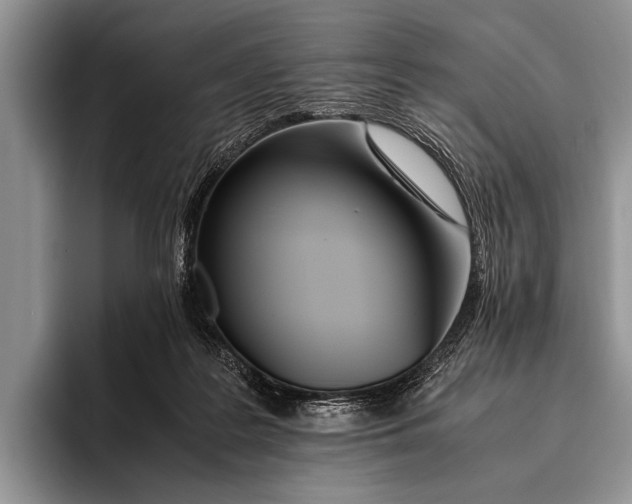 X0000096200219200802081547