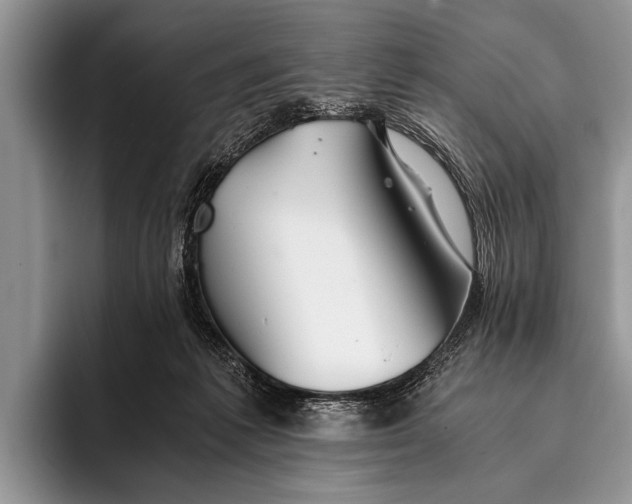 X0000096200221200802081547