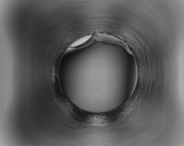 X0000096200223200802081546