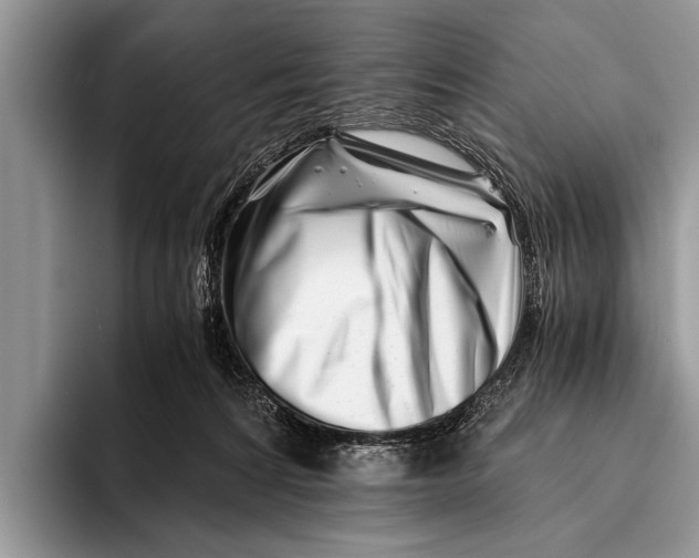 X0000096200224200802081546