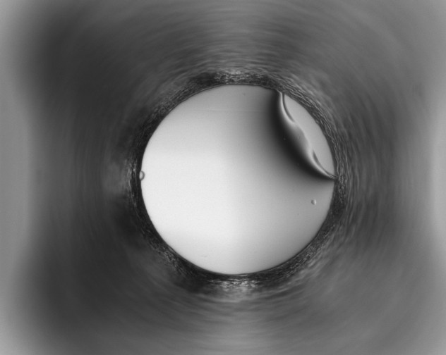 X0000096200225200802081546