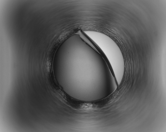 X0000096200227200802081546