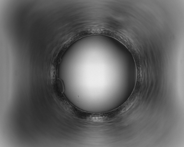 X0000096200228200802081546