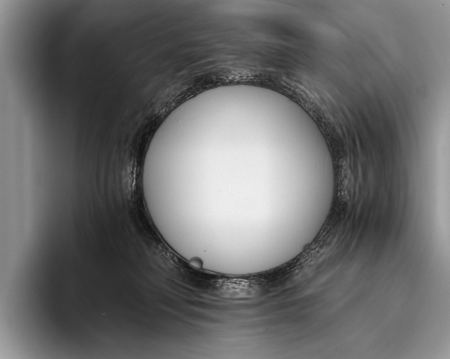 X0000096200230200802081546