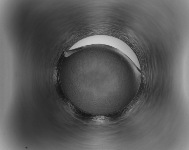 X0000096200231200802081546