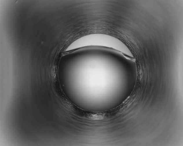 X0000096200232200802081546