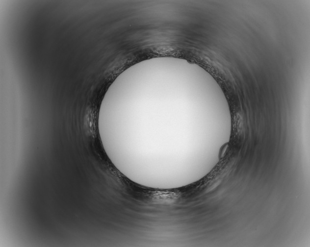 X0000096200234200802081546