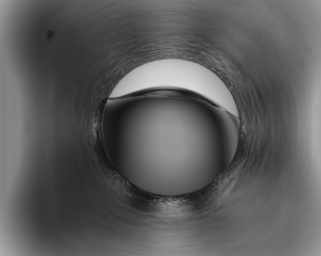 X0000096200235200802081546