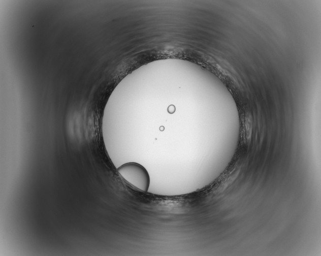 X0000096200236200802081546