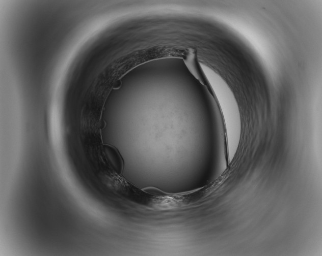 X0000096200239200802081546