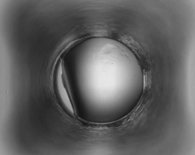 X0000096200243200802081546