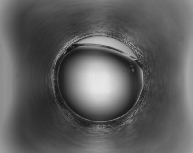 X0000096200244200802081546