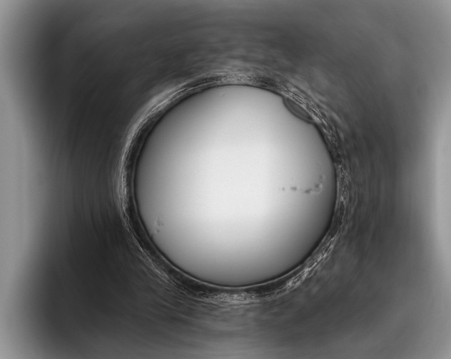 X0000096200245200802081546