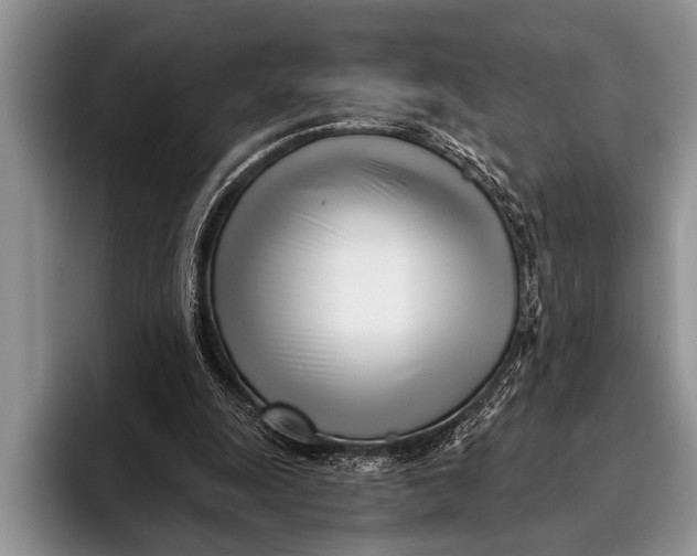 X0000096200247200802081546