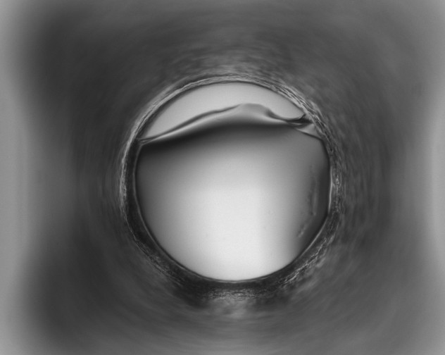 X0000096200248200802081546