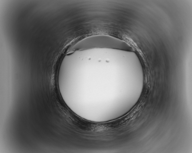 X0000096200249200802081546