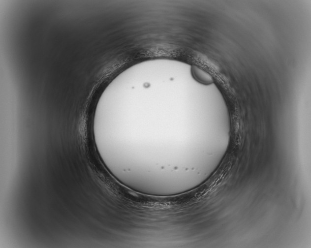 X0000096200250200802081546