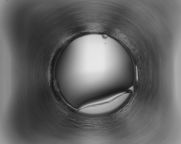 X0000096200252200802081546