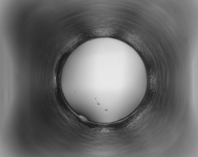 X0000096200254200802081546