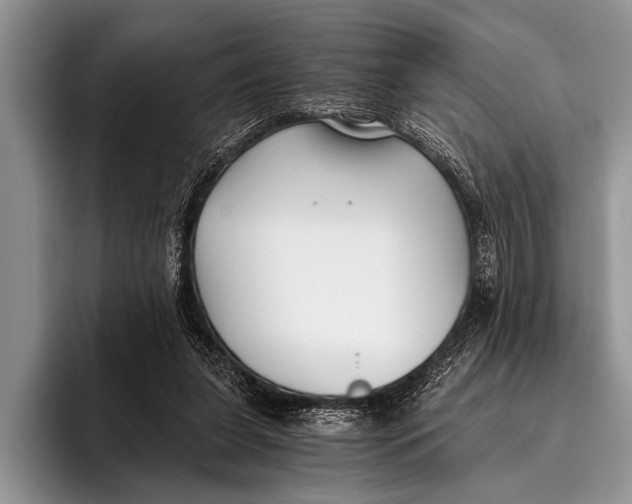 X0000096200255200802081546