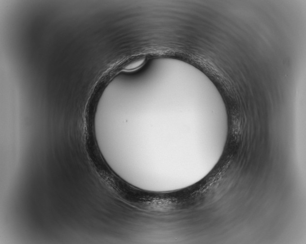 X0000096200256200802081546